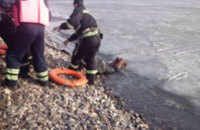 В Кривом Роге под лед провалились четыре человека (ФОТО)