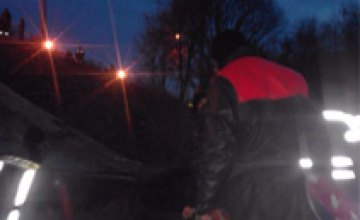 В Днепропетровской области спасено двое детей, которые провалились под лед