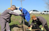 Корпоративная акция ДТЭК «Чистый город»: Приднепровская ТЭС озеленяет Днепр