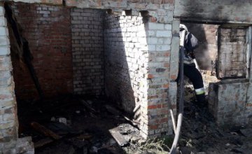 Под Днепром во время пожара в сарае погибли около 10 голов свиней