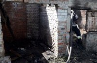 Под Днепром во время пожара в сарае погибли около 10 голов свиней