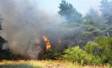 В Украине сохраняется чрезвычайная пожарная опасность