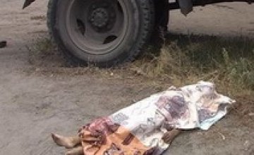 В Днепропетровске грузовик задавил трехлетнюю девочку 
