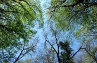 За экскурсии в крымские леса турфирмы будут лишать лицензий