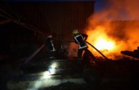 В Кривом Роге на деревообрабатывающем предприятии произошел пожар: огнем уничтожено 200 кв. метров (ФОТО, ВИДЕО)
