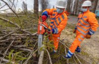 Єдиний в Україні: у Дніпрі з’явився високопродуктивний телескопічний маніпулятор для видалення великогабаритних аварійних дерев