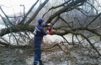 В Синельниковском районе упавшее дерево заблокировало дорогу