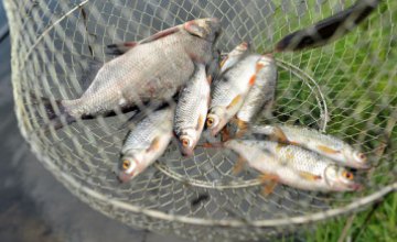 ​Операция «Нерест» на Днепропетровщине: более тонны рыбы изъяли у браконьеров