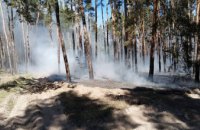 В Днепропетровской области спасатели вновь ведут борьбу с пожарами в экосистемах