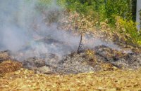 Экологи напомнили о вреде дыма от сожженных опавших листьев