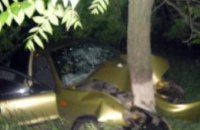 В Днепропетровской области Daewoo влетел в дерево: один человек погиб, 4 травмированы