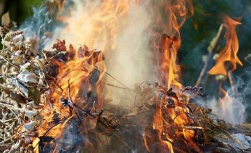 Любителей сжигать опавшие листья ожидают штрафы