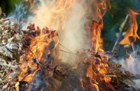 Любителей сжигать опавшие листья ожидают штрафы