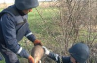 В Павлограде в лесополосе нашли 2 мины и 6 снарядов времен войны