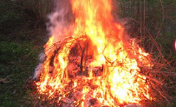В Днепропетровской области горел лес на территории более 7 га
