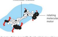 Нобелевскую премию по химии получили создатели молекулярных машин