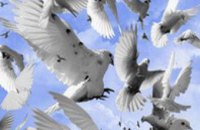 В Днепропетровске пройдет праздник голубей