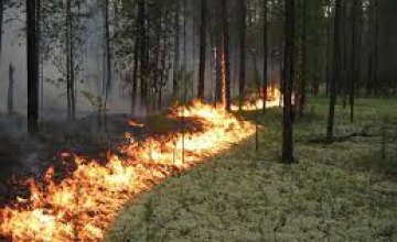 Днепропетровщина проходит жаркий период без крупных пожаров