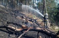 В Тернопольской области горел Национальный природный парк