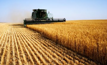 Аграрии Днепропетровщины уже собрали почти 75% ранних зерновых