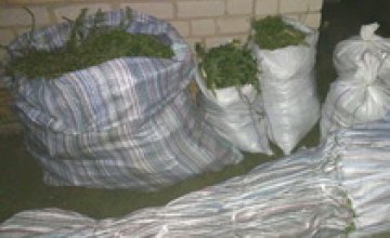 В Днепропетровской области у мужчины изъяли «травку» на полмиллиона гривен