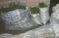 В Днепропетровской области у мужчины изъяли «травку» на полмиллиона гривен