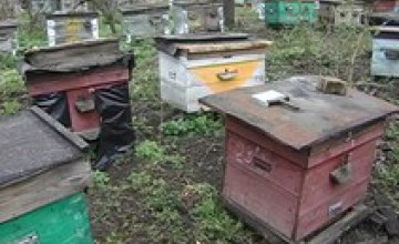В Сумской области двое злоумышленников убили пенсионера-пчеловода 