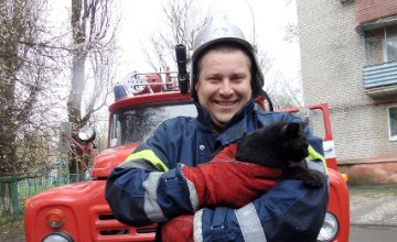 На Днепропетровщине спасли кота: он длительное время просидел на дереве