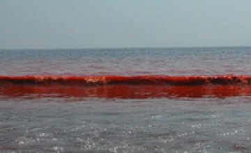 Азовское море стало красным