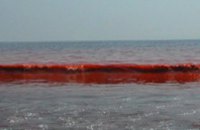Азовское море стало красным