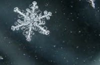 В Украине в конце недели обещают первый снег