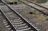 В Запорожской области железнодорожники обнаружили предмет, похожий на взрывное устройство