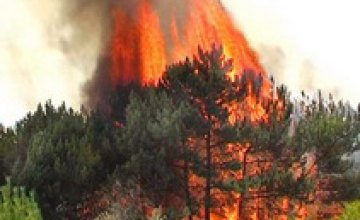 В Днепропетровской области наблюдается 4-й класс пожарной опасности