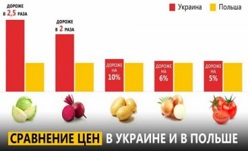 В Украине от 50 до 90% товаров из корзины социальных продуктов питания не просто сопоставимы с европейскими ценами, - Вилкул