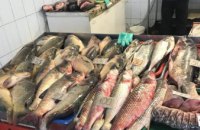 Днепропетровский рыбоохранный патруль изъял 225 кг браконьерской рыбы