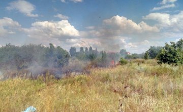 ​На Днепропетровщине случился пожар: горели кусты и трава
