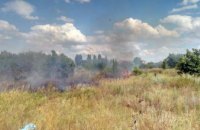 ​На Днепропетровщине случился пожар: горели кусты и трава