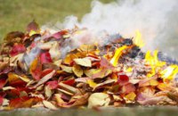 Шкодить здоров’ю людей і довкіллю: мешканців Дніпропетровщини закликають не спалювати опале листя  