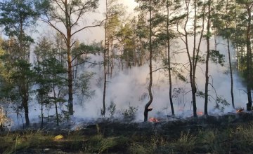 В Царичанском районе спасатели ликвидировали лесной пожар