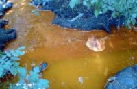 Экологическая катастрофа в Желтых Водах: река и пыль в селе стали рыжего цвета