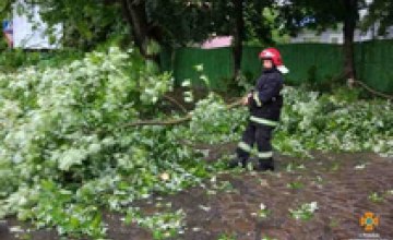 По Тернопольской области пронесся ураган