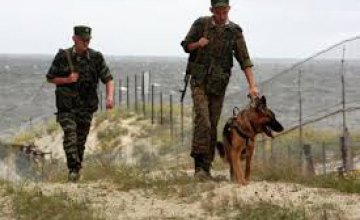 На границе с Польшей пес помог пограничникам обнаружить патроны 
