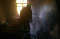 В Киевской области на пожаре погибла женщина 