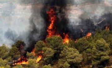 В Днепропетровской области с начала года произошло почти 5 тыс пожаров: погибло 108 человек