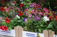 В Днепре проходит конкурс «Городские цветы — 2019»: комментарии участников