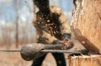 На Днепропетровщине группа «черных лесорубов» нанесла ущерб более чем на 50 тысяч гривен  