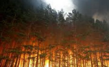 В Днепропетровской области спасатели зафиксировали около 100 пожаров за сутки