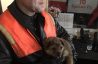 На Днепропетровщине спасли щенка, застрявшего в конструкциях 3-метрового моста (ФОТО)