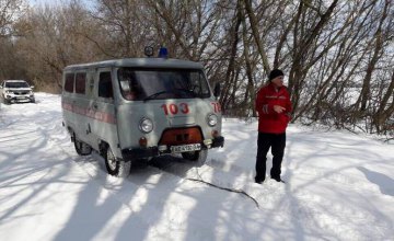 В Софийском районе спасатели вытащили из сугробов скорую помощь
