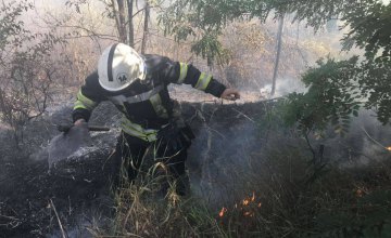 В Кривом Роге ликвидирован пожар в экосистеме (ВИДЕО)